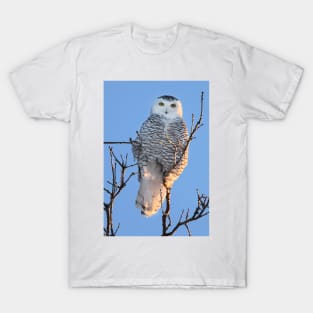 Snowy Owl T-Shirt